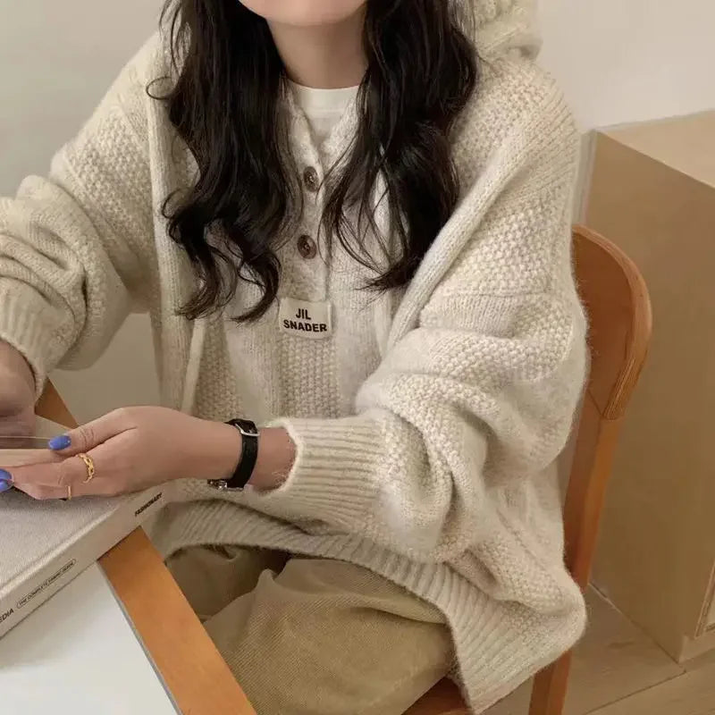 Koreanischer Stil Hoodie – Weite Passform, Dick gestrickt, Herbst/Winter 2024